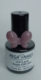 PNT Soak-Off Color Gel SO1673