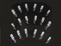 3D-Stone-Sticker Nr.5